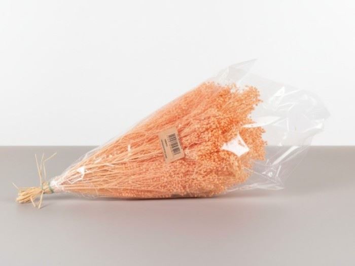RAMO BROOMS 50CM - 100GR SALMAO