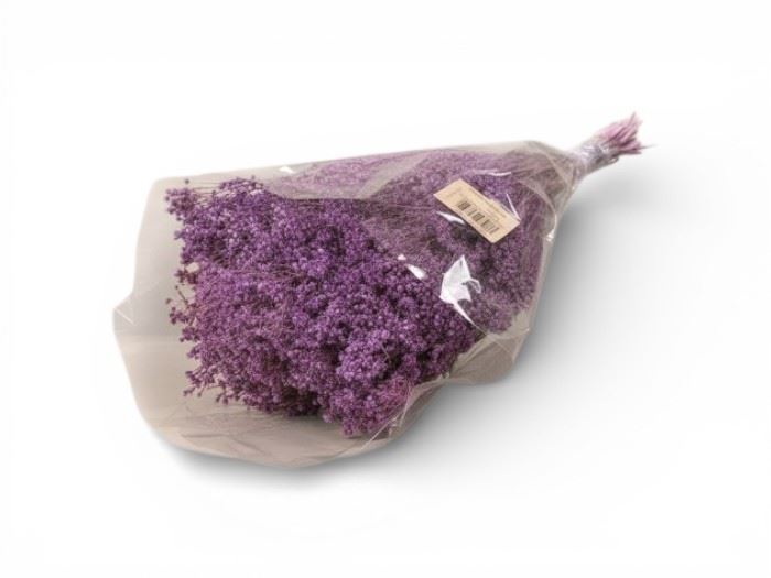 RAMO BROOMS 50CM - 100GR LILAS