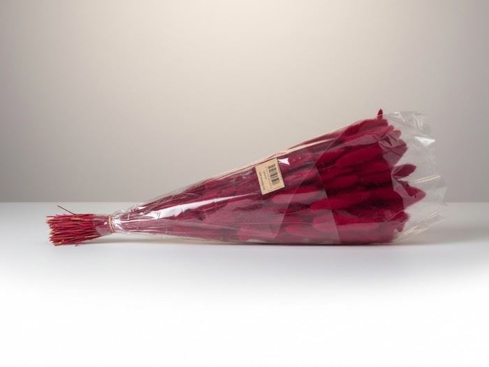 FLOR SECA-RAMO "LAGURUS" COR 59 VERMELHO