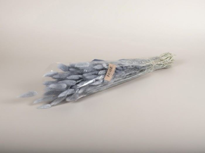 FLOR SECA-RAMO "LAGURUS" COR 72 CINZA