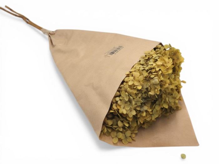 FLOR SECA- HYDRANGEA AMARELO