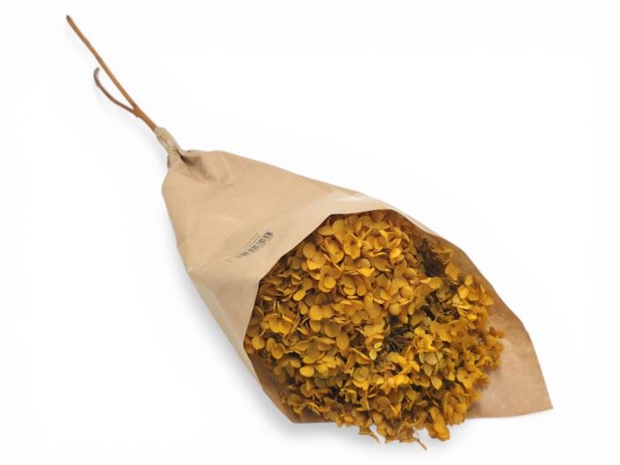 FLOR SECA- HYDRANGEA LARANJA