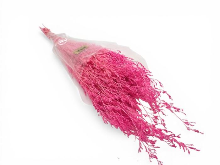 FLOR SECA- CASPIA PRESS 70CM ROSA FUXIA