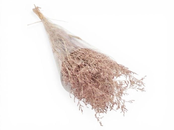 FLOR SECA- CASPIA PRESS 70CM  ROSA