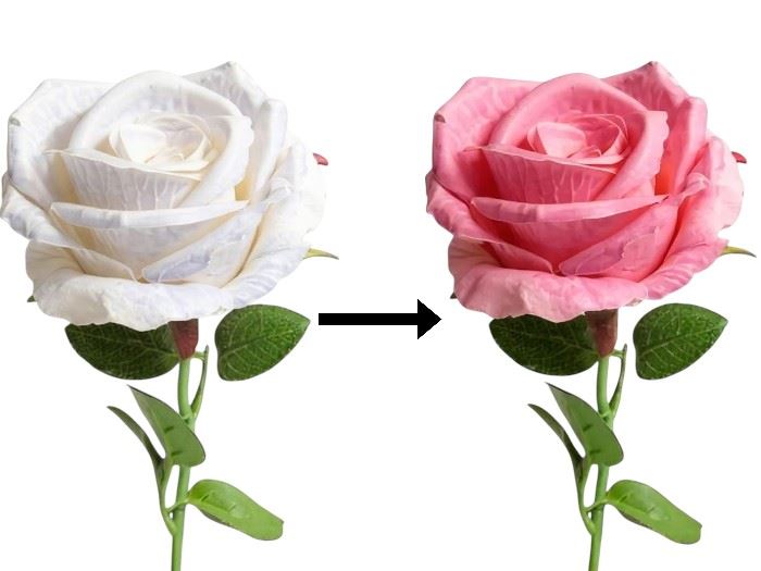 HASTE ROSA MAGICA  50CM ROSA