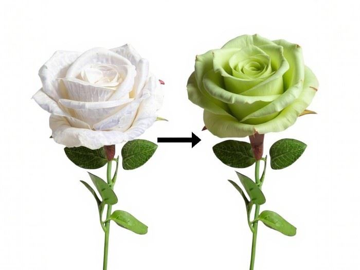 HASTE ROSA MAGICA VERDE SECO 50CM
