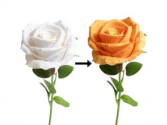 HASTE ROSA MAGICA  50CM LARANJA