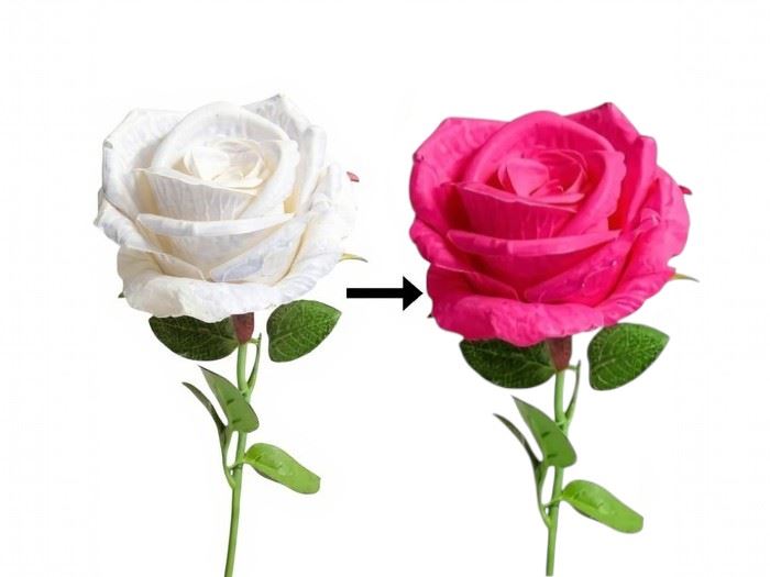 HASTE ROSA MAGICA  50CM FUCHSIA