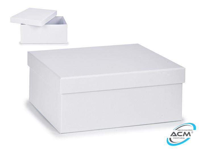 CAIXA CARTÃO GRD. BRANCA 23X16,5X9,5CM