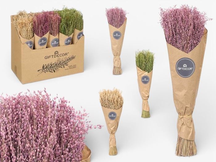 RAMO CENTEIO NATURAL SORT 2 CORES 10 x 10 x 40 cm