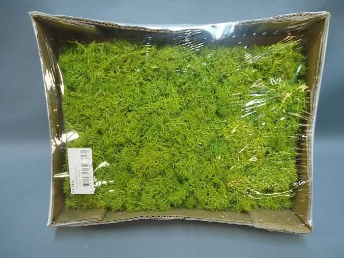 CAIXA MUSGO VIVO 250GR VERDE