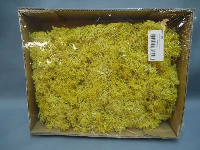 CAIXA MUSGO VIVO 250GR AMARELO