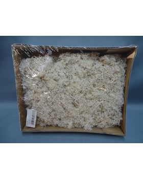 CAIXA MUSGO VIVO 100GR BRANCO 23X15X4CM