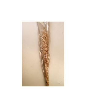 TRIGO SECO 65CM