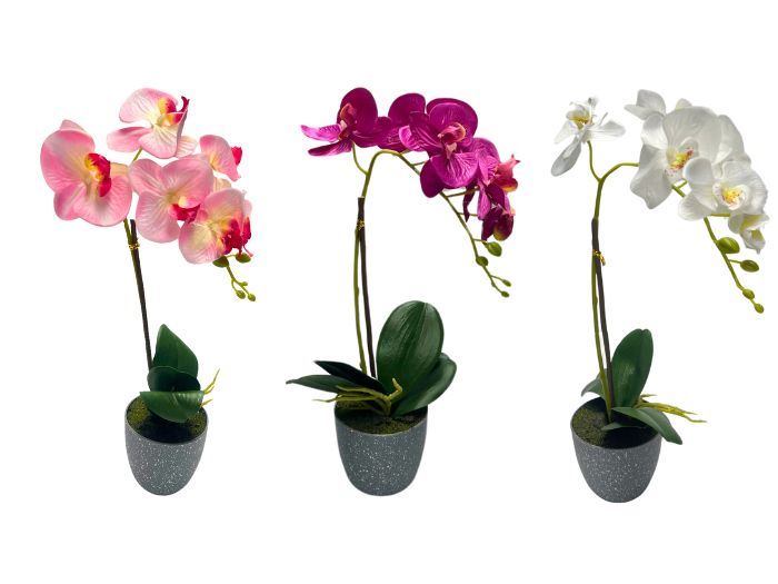 Orquidea Vaso Red Cinza 43cm Sort.4