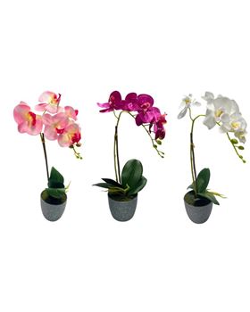 Orquidea Vaso Red Cinza 43cm Sort.4