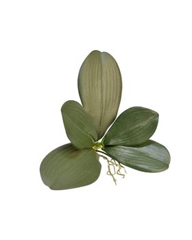 Folha Orquidea Grd Verde 24cm