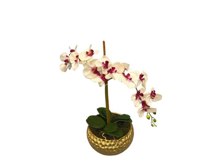 Vaso 13 X 30 Cm Orquideas 60cm