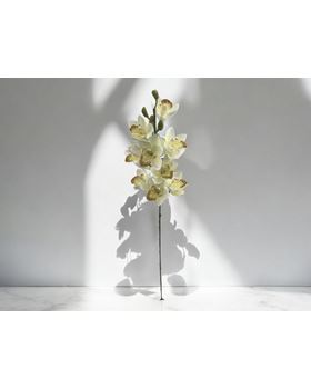 HASTE ORQUIDEAS VICUDA  77CM BRANCO