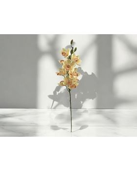 HASTE ORQUIDEAS VICUDA  77CM CREME