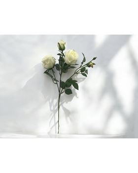 HASTE ROSA X 4 65CM BRANCO