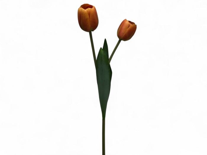 HASTE TULIPA 57CM LARANJA