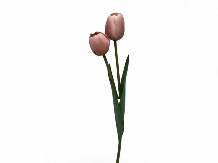 HASTE TULIPA 57CM ROSA
