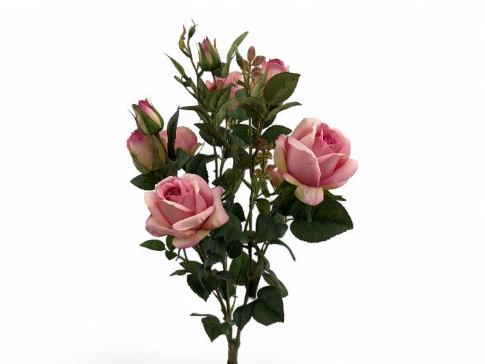 PLANTA DE ROSAS 52CM ROSA ESCURO