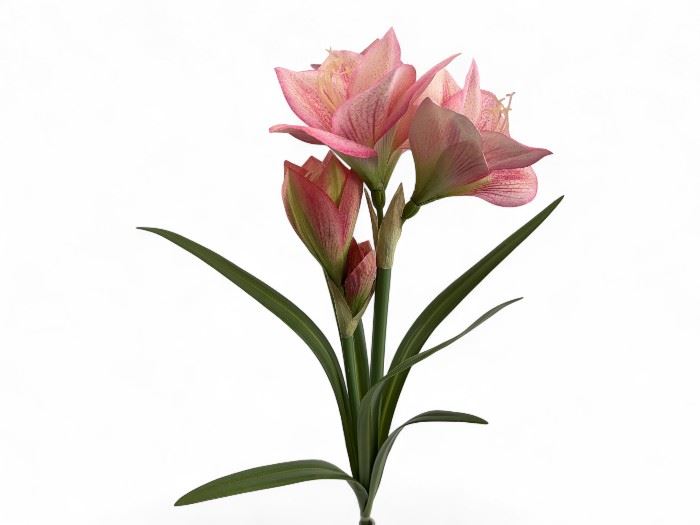 PLANTA DE LILY 60CM ROSA