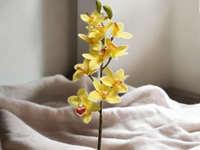 HASTE ORQUIDEA T NAT 75CM  AMARELO