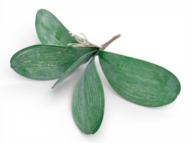 PE FOLHAGEM ORQUIDEA VERDE 25CM