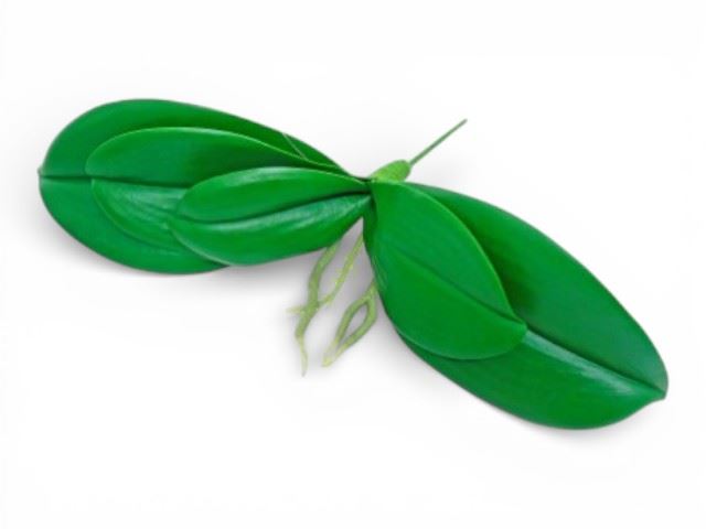 PE FOLHAGEM ORQUIDEA VERDE 25CM