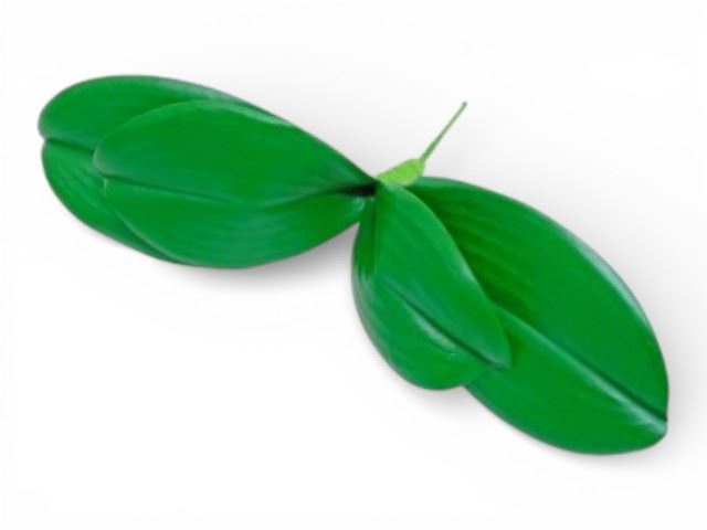 PE FOLHAGEM ORQUIDEA VERDE 17CM
