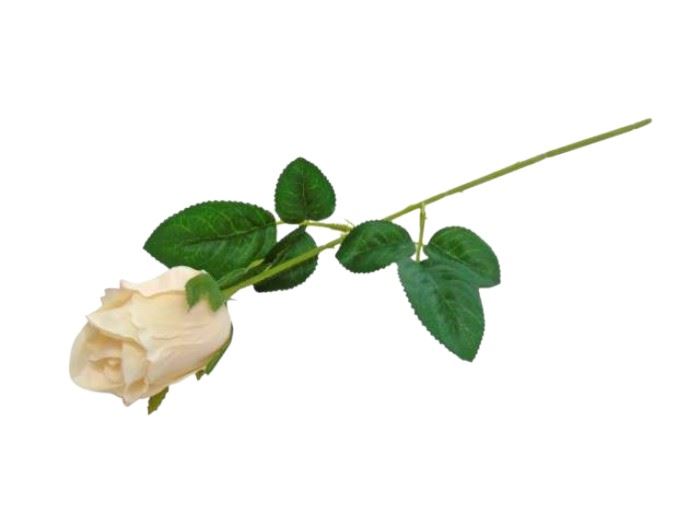 PE BOTAO DE ROSA COR CREME 38CM