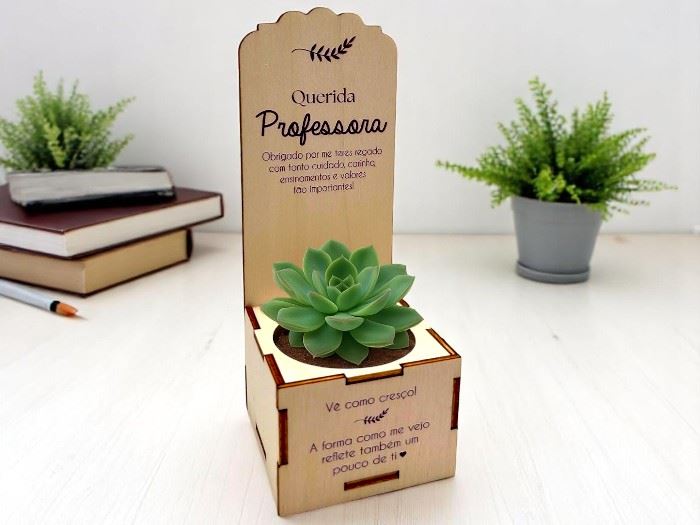 SUPORTE SUCULENTA "QUERIDA PROFESSORA" 17X6X7CM