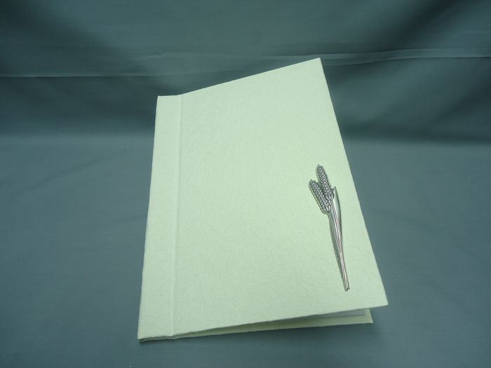 ALBUM C/ 30 FOLHAS 20X28CM CREME  C/ APLIC