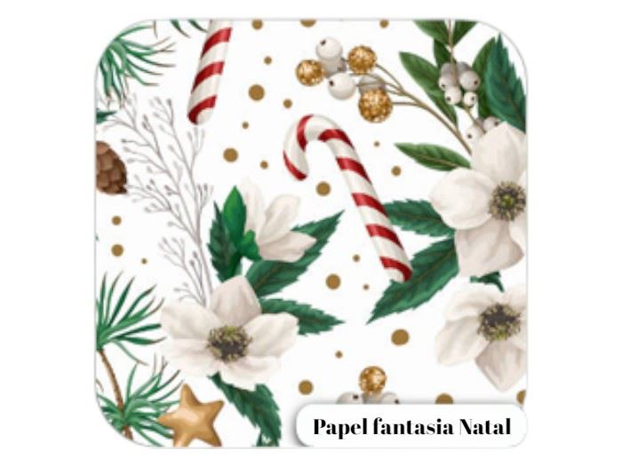 CAD.  25 FLS P.FANT. NATAL 70X100CM